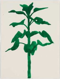 Ellsworth Kelly's "Plant Drawings" exhibition