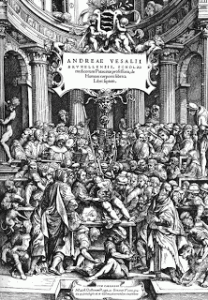 Andreas Vesalius, Father of Modern Anatomy
