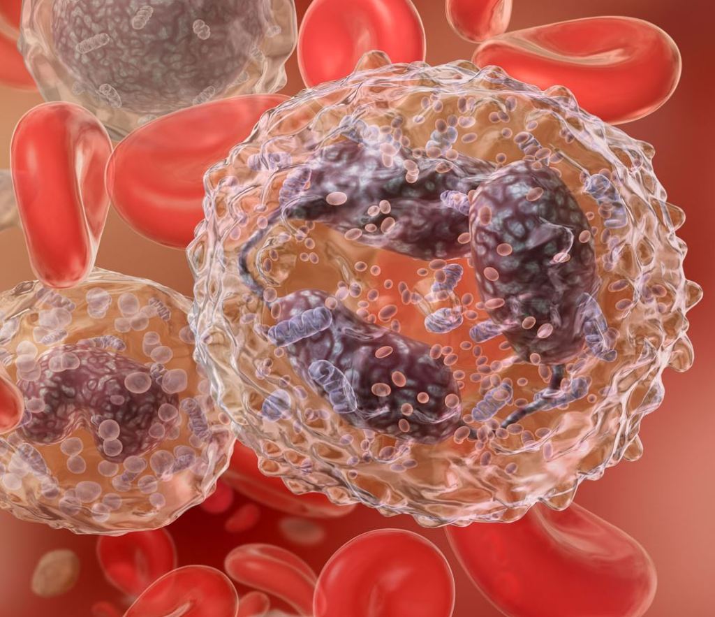 Gary Carlson-Blood Cells