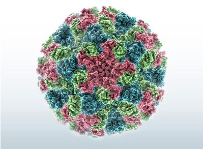 Science Source Virus