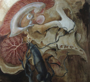 The Blood and Guts of medical Illustration