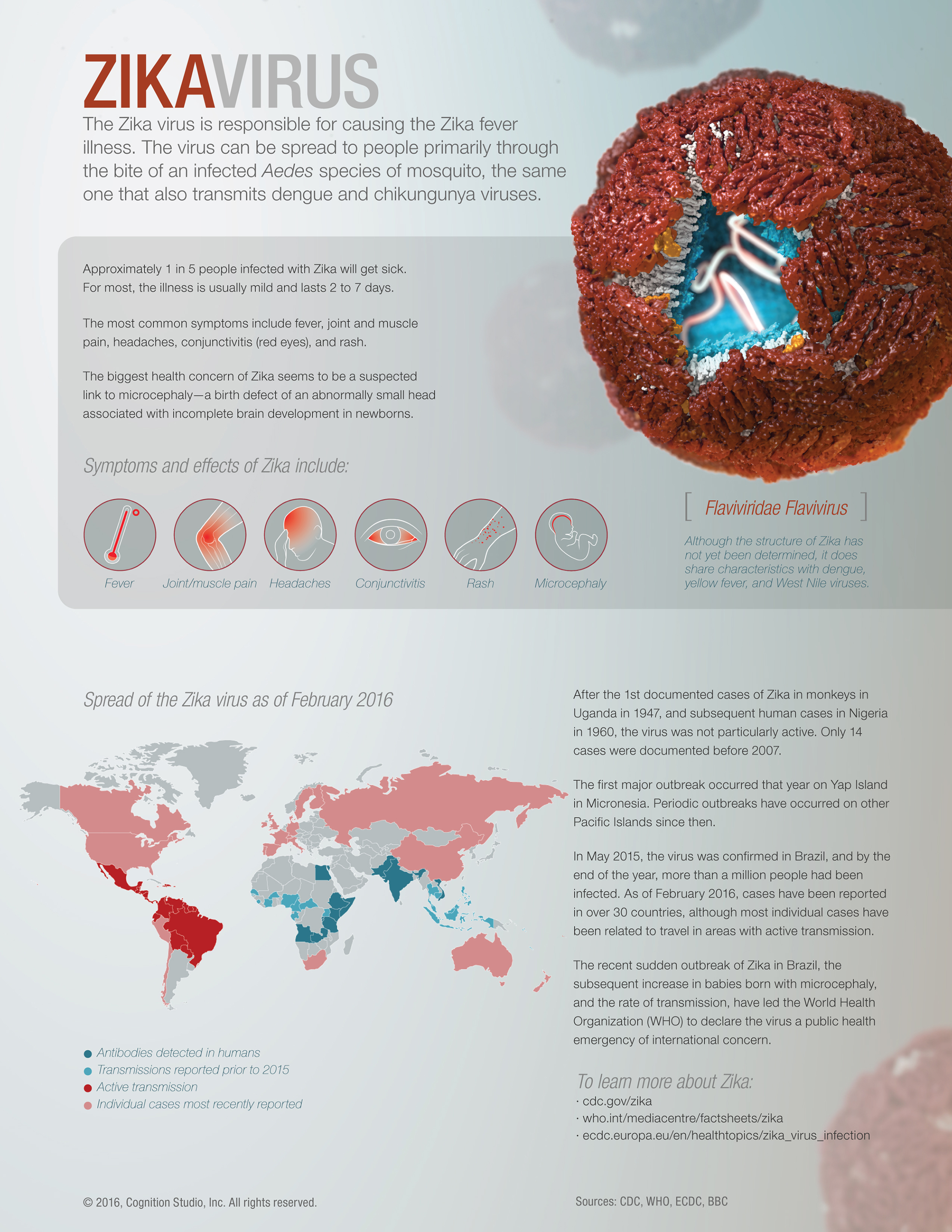 Visual layout provides information about the Zika virus and its transmission, as well as iconography for symptoms and a 3D high quality proposed model of the Zika virus.