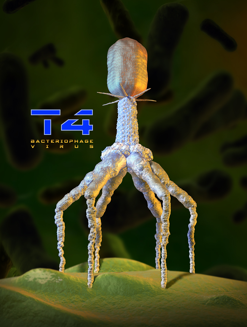 t4_bacteriophage_virus