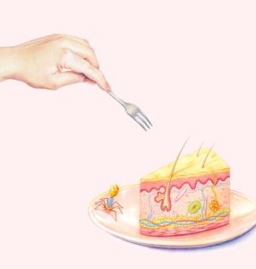 Emma Cheng - Skin Layer Cake Illustration