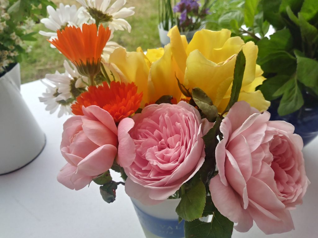 Roses and marigolds at Hay festival