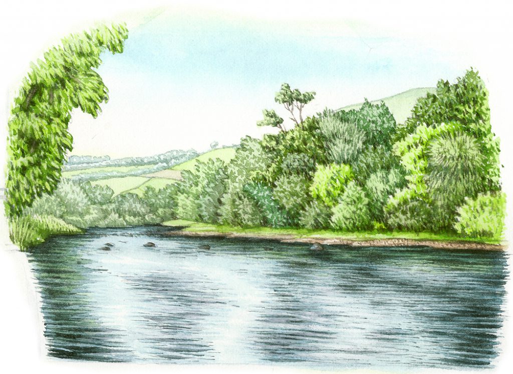 River landscape natural history illustration by Lizzie Harper