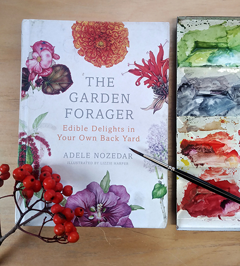 Botanical illustration by Lizzie Harper on cover of The Garden Forager