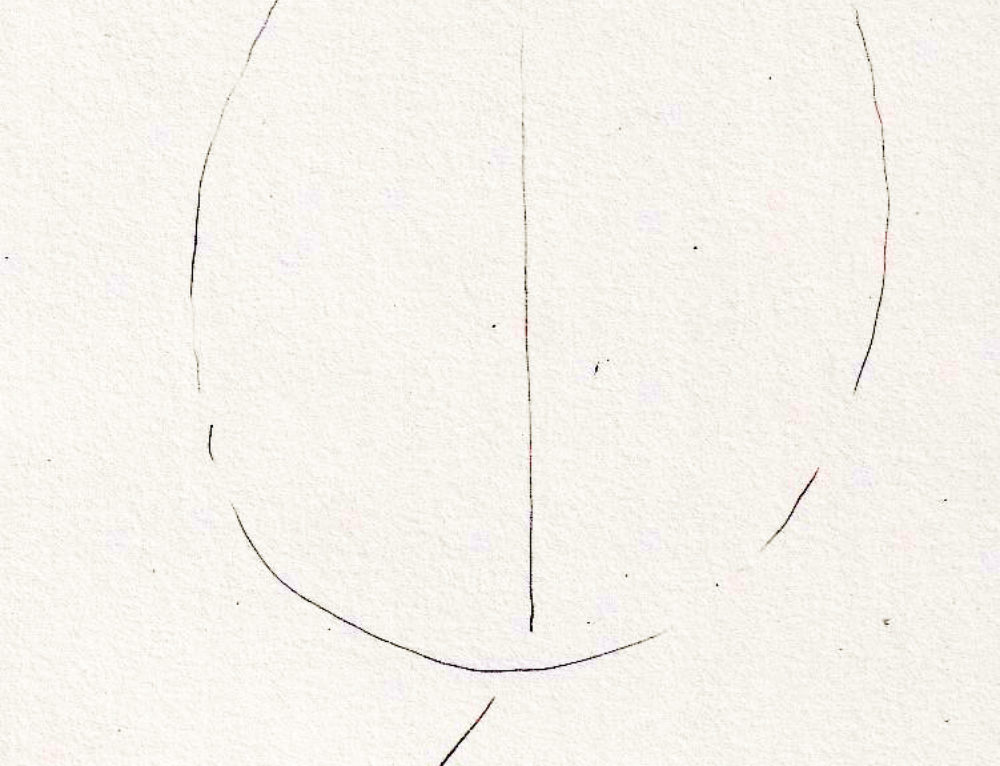 In The Studio – Artists&rsquo; Blogs :: Medical Illustration Sourcebook