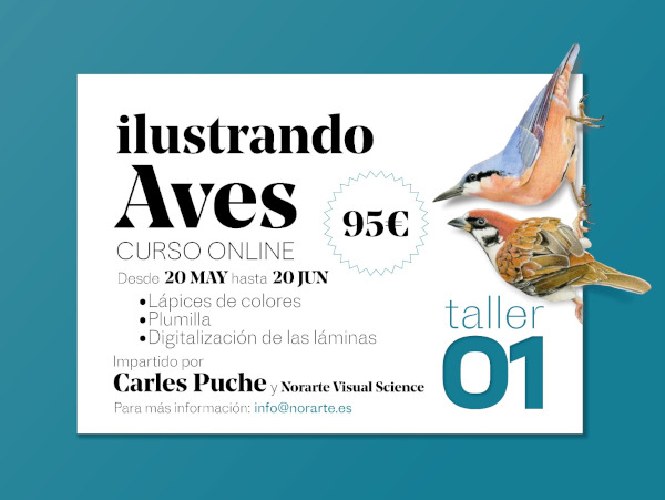 Cartel. Taller 01. Ilustrando Aves con Carles Puche. curso online de ilustración naturalista