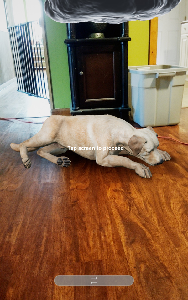 A full screen capture depicting the dog in augmented reality in healthcare visualization.