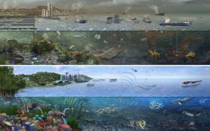 Ocean Pollution Ecosystem Science Illustration by Nicolle R. Fuller, SayoStudio