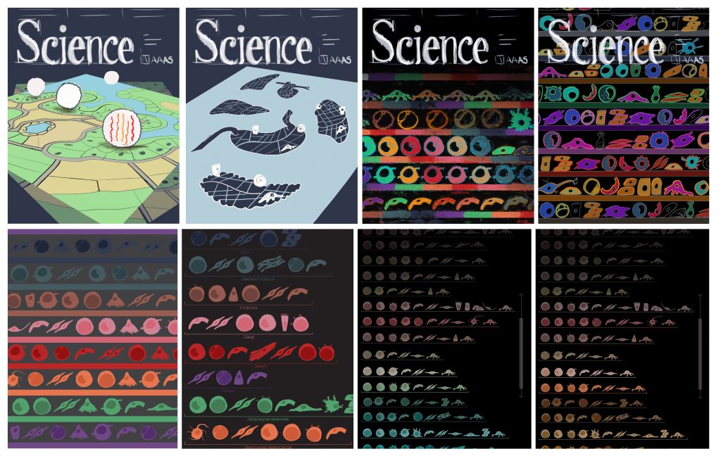 scientific illustration for cover art concept development, by SayoStudio