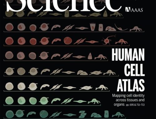 Human Cell Atlas Science Cover