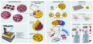 Cell imprinting bioengineering illustrated graphic science figure, by SayoStudio