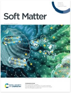 Drug delivery with colloidial gel illustration for Soft Matter, a Royal Society of Chemistry Cover. By Nicolle R. Fuller, SayoStudio