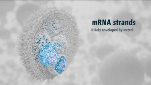COVID-19 mRNA vaccine, 3d nanoparticle mRNA illustration by Christoph Kuehne, SayoStudio