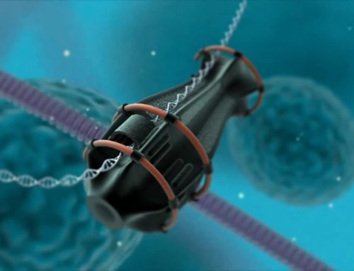 Nanobots: the future of medicine and what it means for us