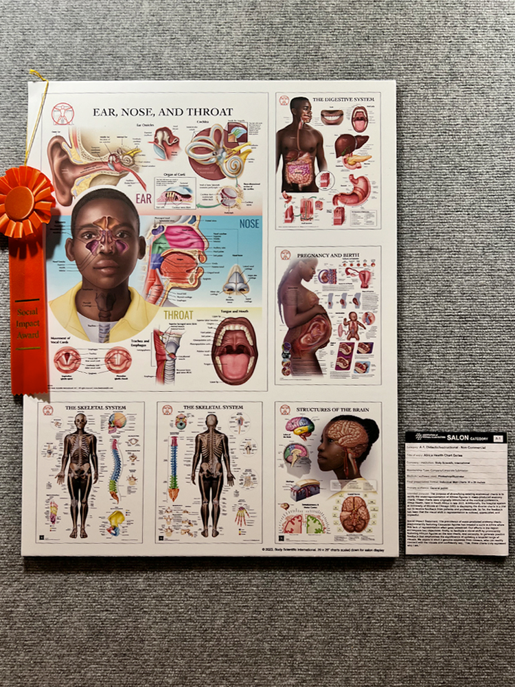 Salon piece for African Health Chart Series by Body Scientific with Social Impact Award. Photo by © Carolina Hrejsa