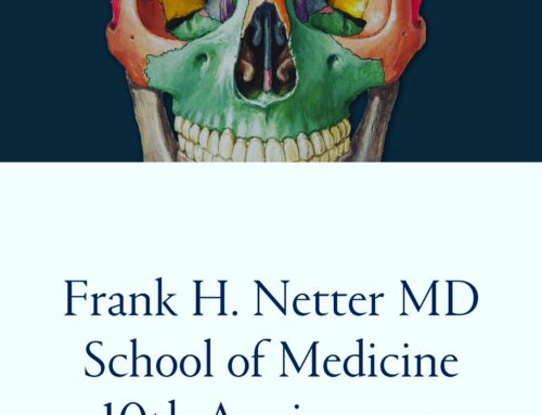 Jennifer Fairman’s Work in the Frank H. Netter MD School of Medicine 10th Anniversary Art Exhibit