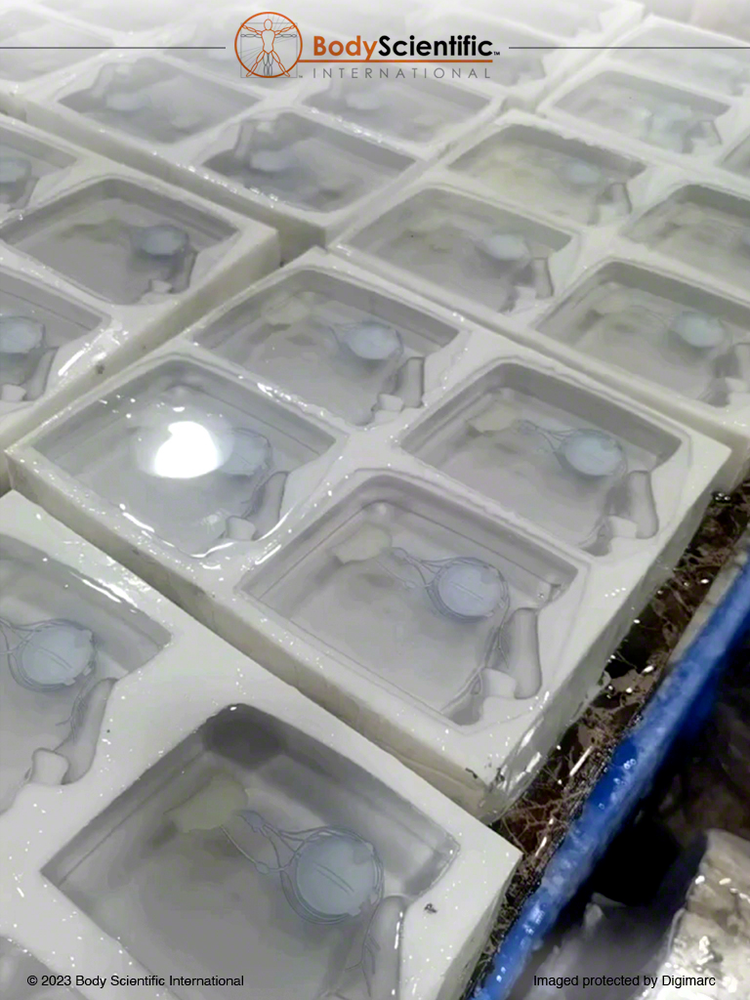 A sea of molds curing clear material for the facial slice and tear duct anatomy.