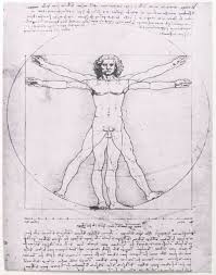 Vitruvian Man