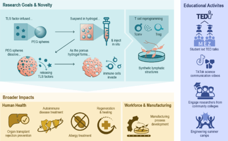 Here we’ve used a contrasting salmon pink to emphasize the important technical aspects of the research visualized in this figure for the University of Michigan