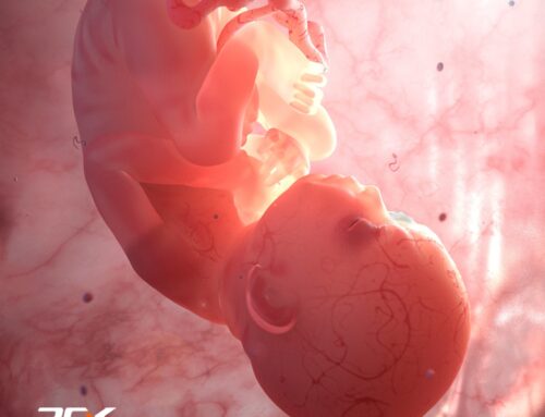 Specialty Feature: Embryology