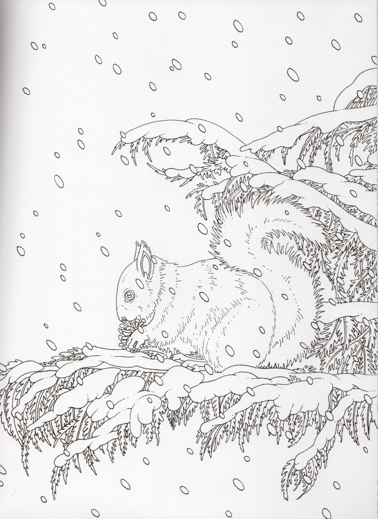 Winter wonderland