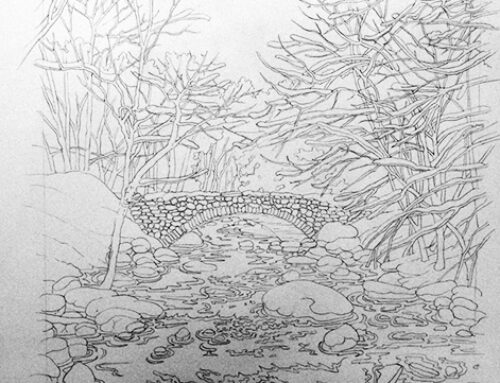 Illustrating colouring-in books