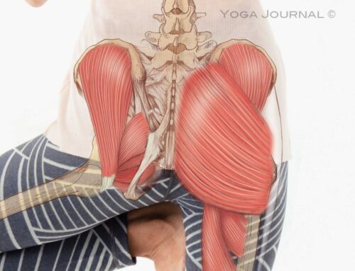 Specialty Feature: Health & Wellness