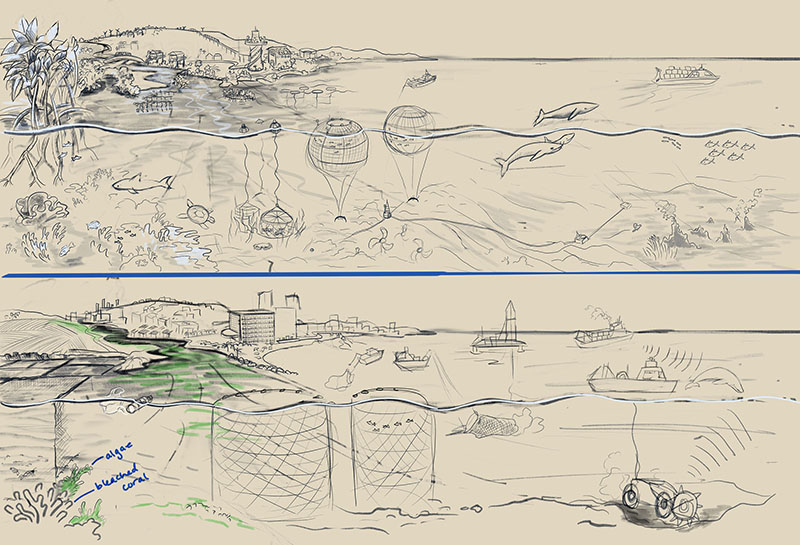 Science Ecology Illustration sketch by Nicolle R. Fuller, SayoStudio