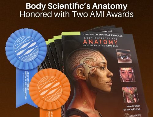 Body Scientific’s Anatomy Recognized with Two Top AMI Awards